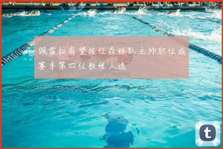 佩雷拉有望接任森林队主帅职位成赛季第四位教练人选