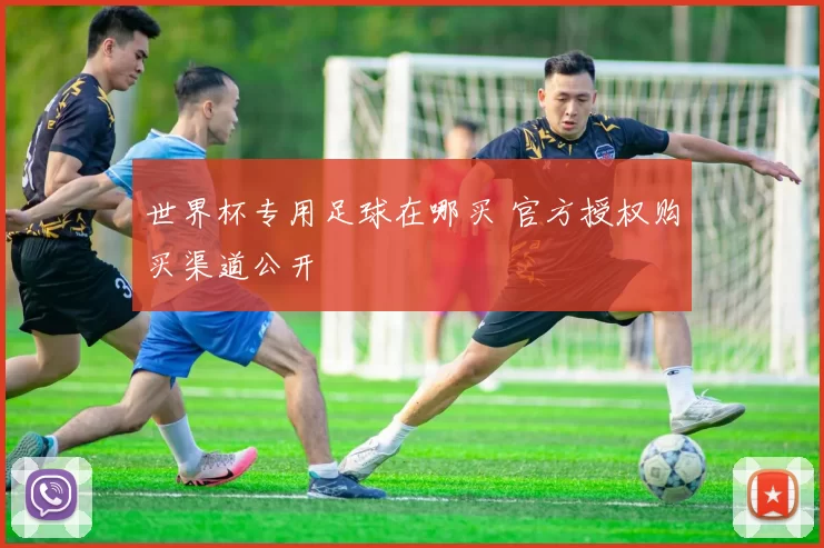 世界杯专用足球在哪买 官方授权购买渠道公开