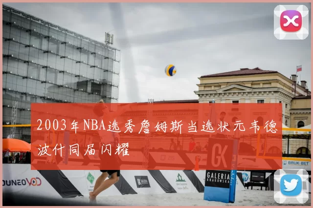 2003年NBA选秀詹姆斯当选状元韦德波什同届闪耀