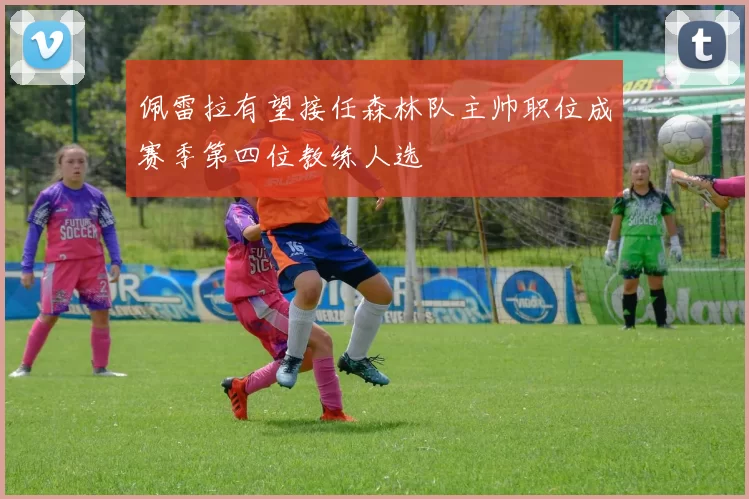 佩雷拉有望接任森林队主帅职位成赛季第四位教练人选