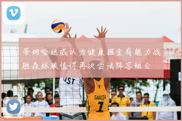 蒂姆哈达威认为健康掘金有能力战胜森林狼值得再次尝试阵容组合