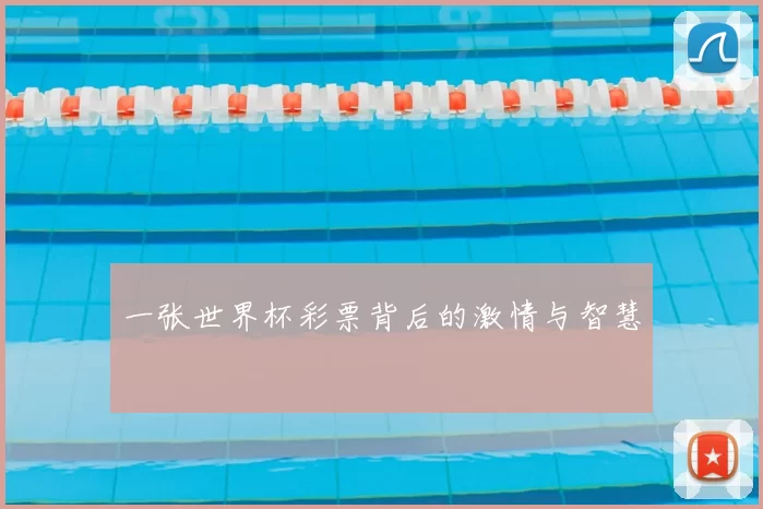 一张世界杯彩票背后的激情与智慧