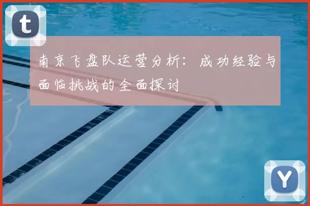 南京飞盘队运营分析：成功经验与面临挑战的全面探讨
