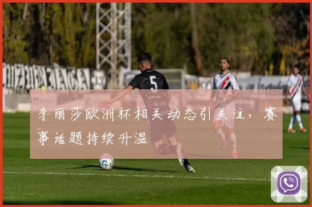 李丽莎欧洲杯相关动态引关注,赛事话题持续升温