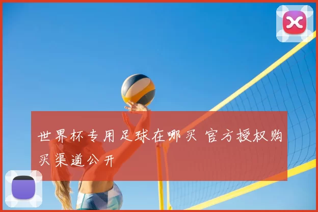 世界杯专用足球在哪买 官方授权购买渠道公开