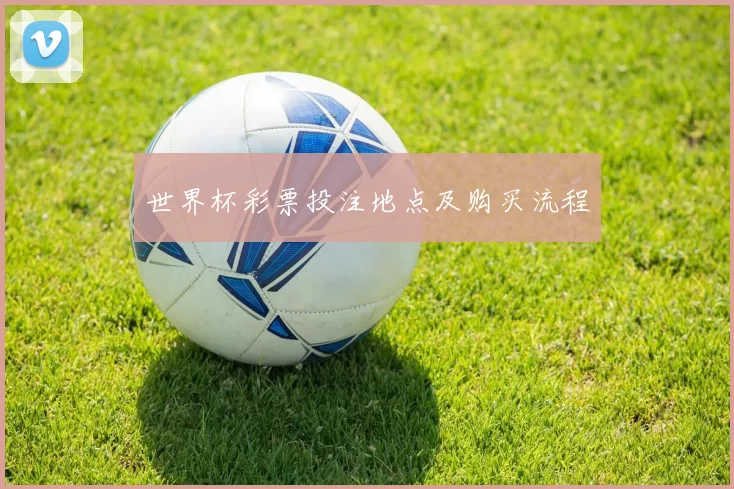 世界杯彩票投注地点及购买流程