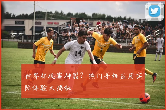 世界杯观赛神器?热门手机应用实际体验大揭秘