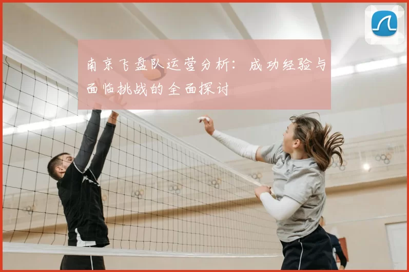 南京飞盘队运营分析：成功经验与面临挑战的全面探讨