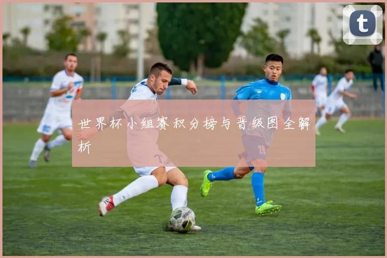 世界杯小组赛积分榜与晋级图全解析